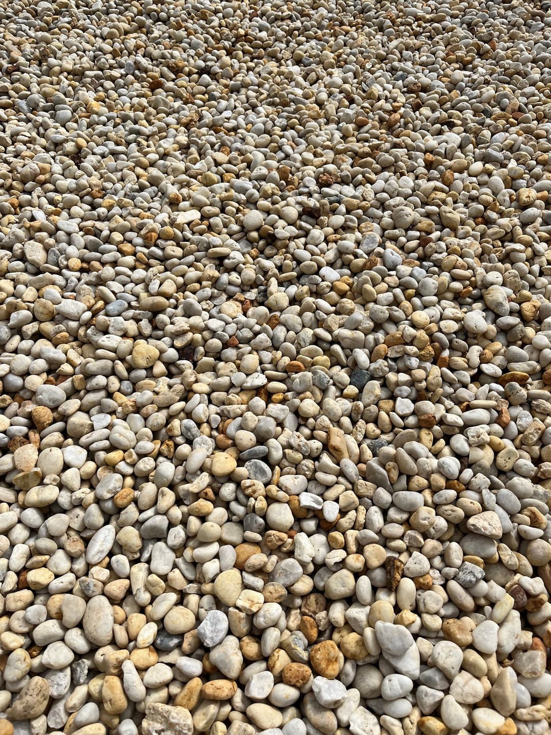 Smooth latte 20-60mm